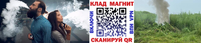 Все наркотики Дегтярск Псилоцибиновые грибы  ГАШИШ  Канабис  Кокаин 