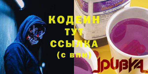 шишки Горнозаводск
