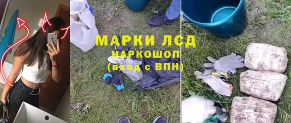 PSILOCYBIN Горняк