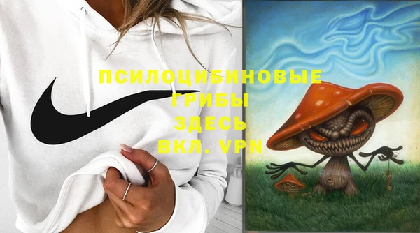 соль курить ск Дмитров