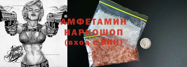 PSILOCYBIN Горняк