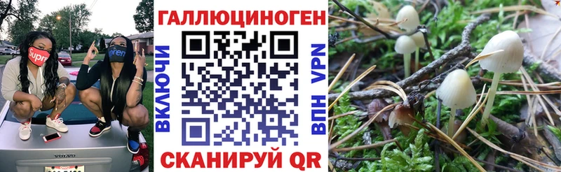 darknet состав  Дегтярск  Галлюциногенные грибы ЛСД 
